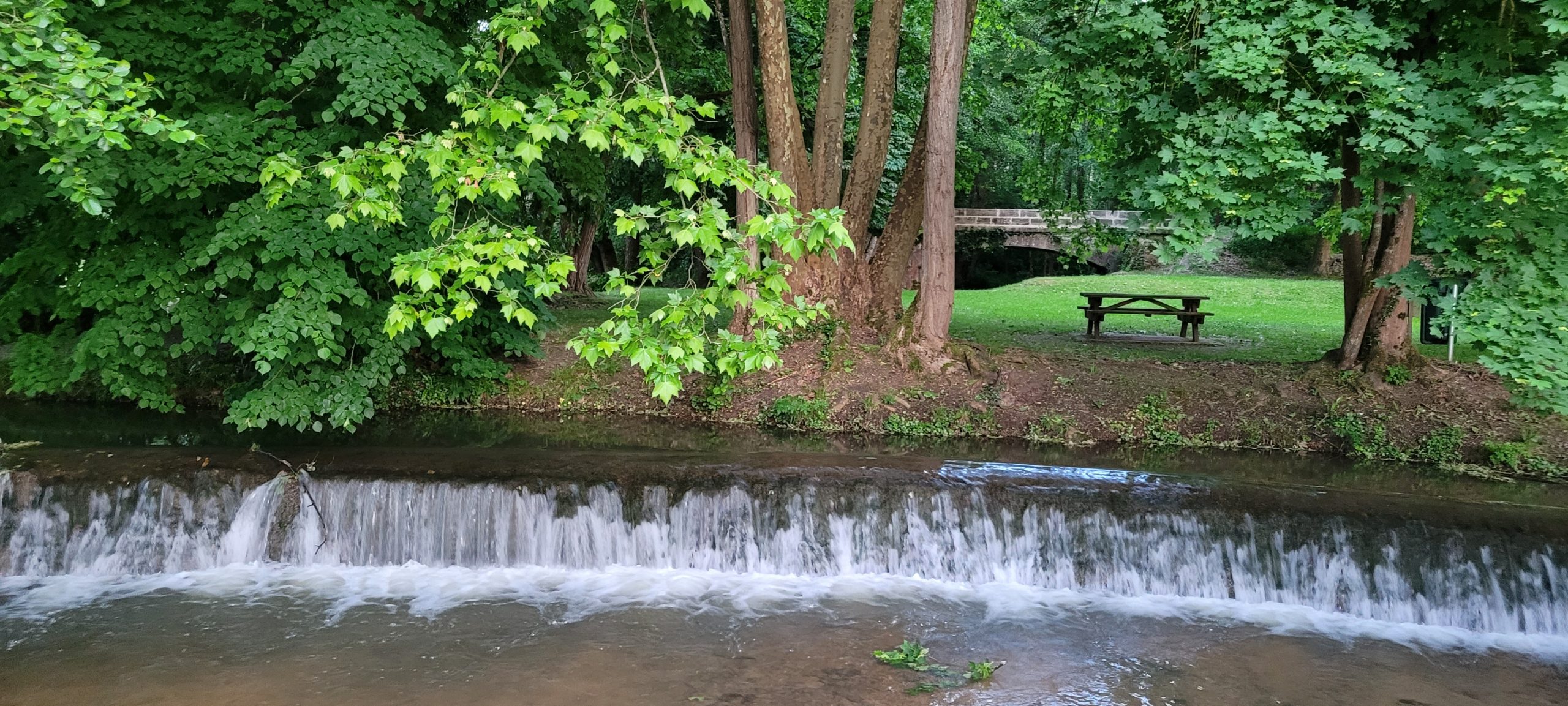 Le parc à 50 m